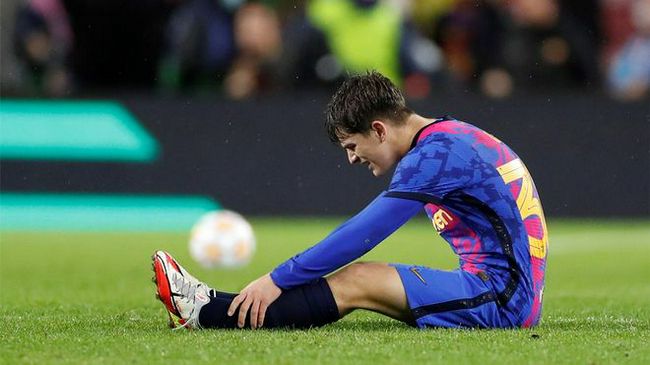 满天星法版空姐没有明天