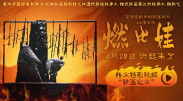 精品国产你懂的在线观看