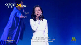 我的网址